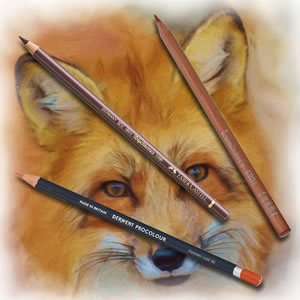 Pencils4artists Colour Compare Set of 12 Browns